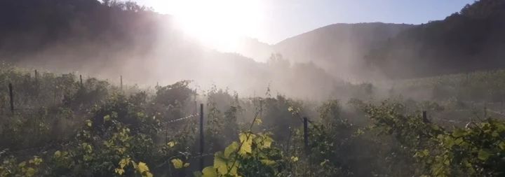 Domaine de la Casa Blanca - Rue des Vignerons