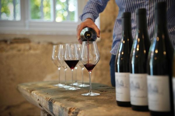 Les Secrets d'Armand - Tasting of 6 wines-photo