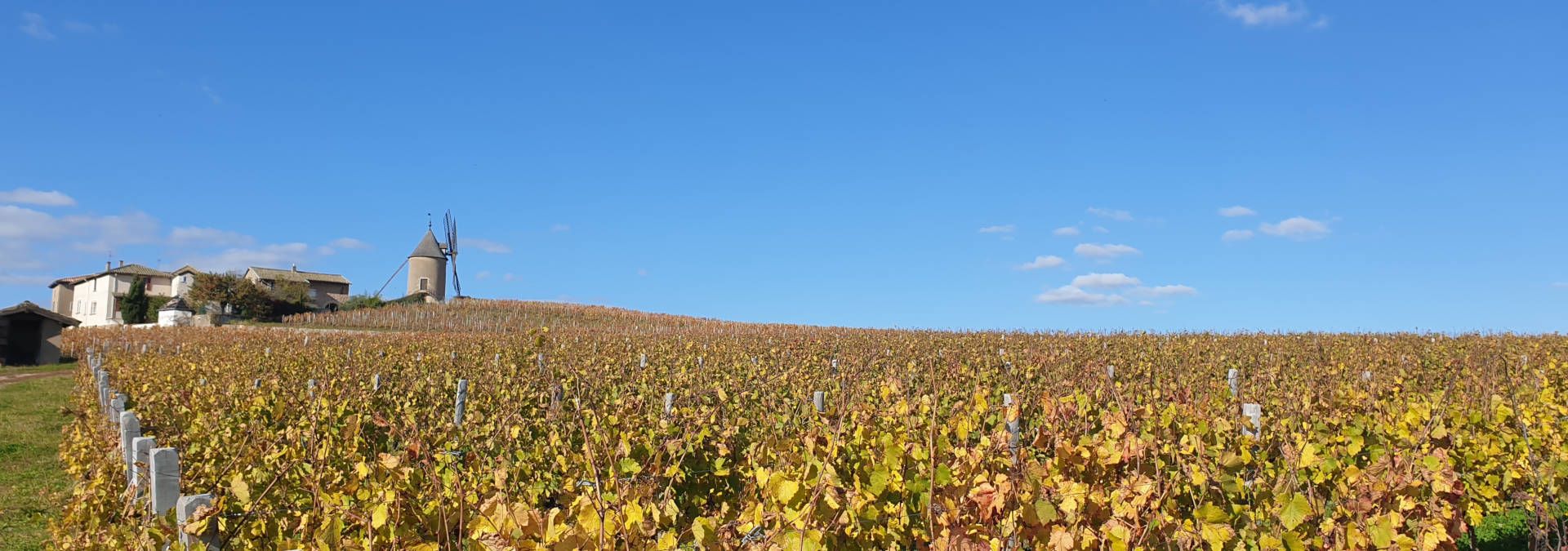Château des Jacques - Rue des Vignerons