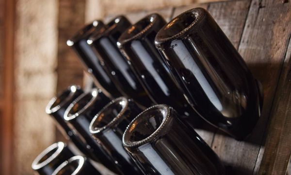 Visite 6 vins et farandole de gougères-photo
