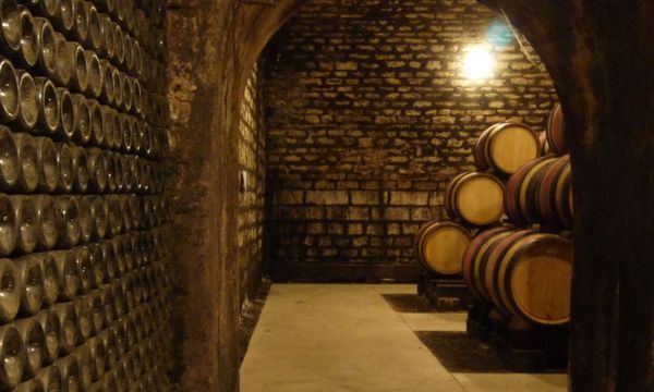 Proeverij van de Grands Crus-photo