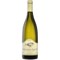 Domaine Borgnat Bourgogne Chardonnay 2020 Blanco