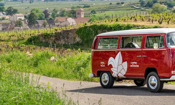 Half-day tour of the Côte de Nuits with a Combi, from Dijon-photo