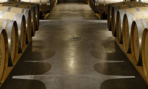 Grand Cru bezoek-photo