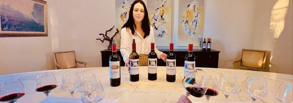 Un'immersione nel cuore di Château Taillefer-photo