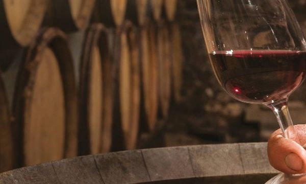 Découverte de nos vins-photo