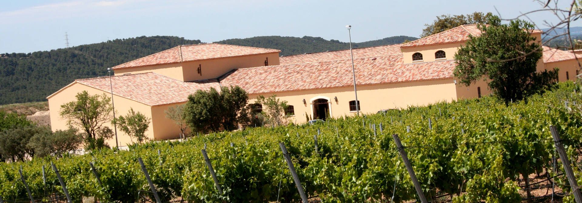 Château Saint Hilaire - Rue des Vignerons