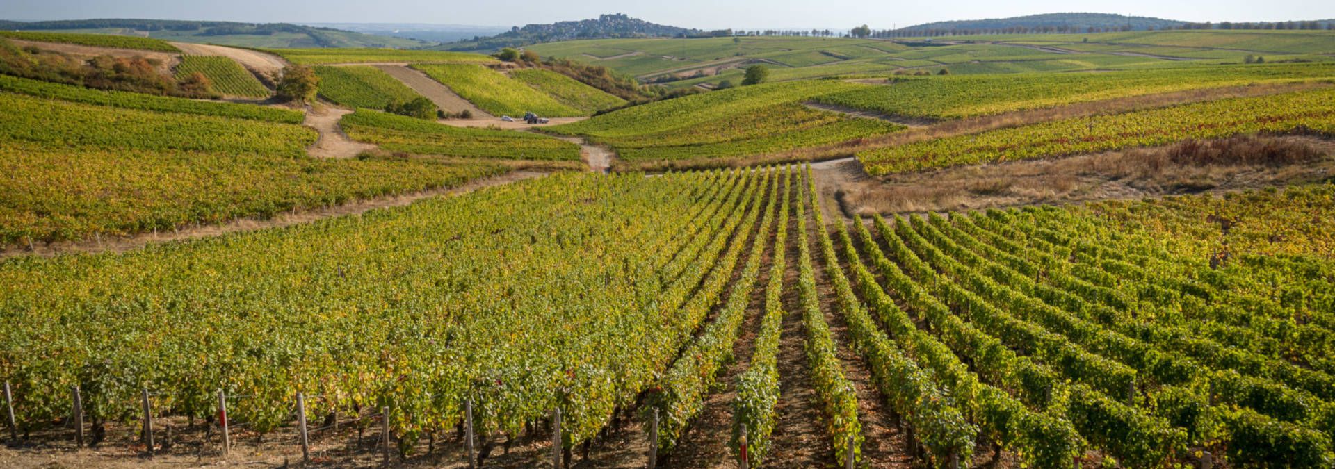 Château de Sancerre - Rue des Vignerons