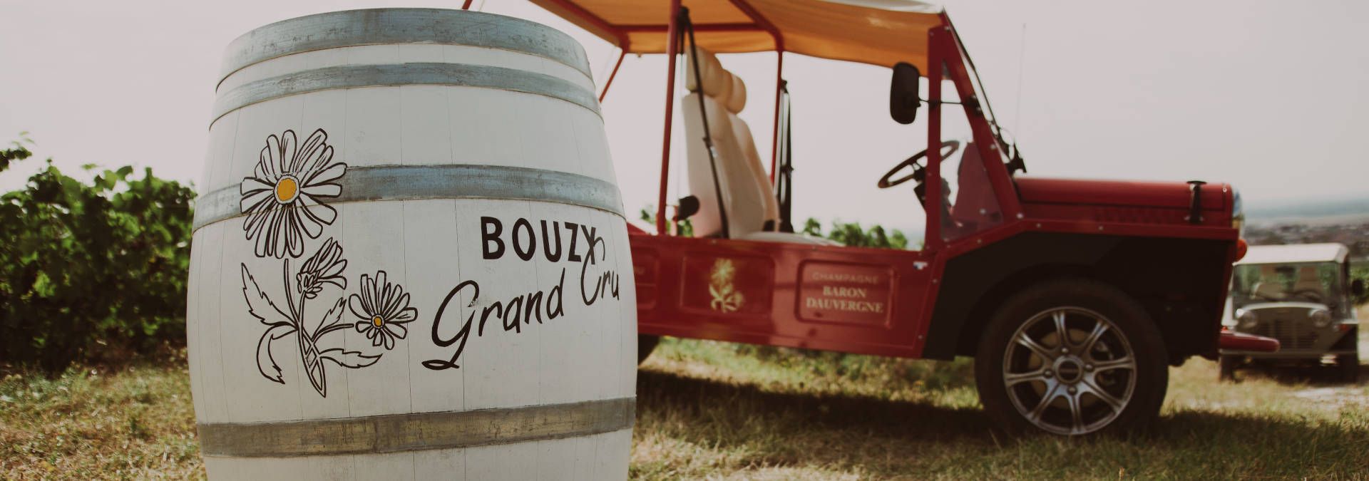 Champagne Baron Dauvergne - Rue des Vignerons