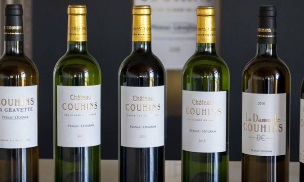 Découverte des vins du domaine-photo