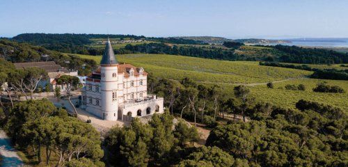 Château Capitoul photo