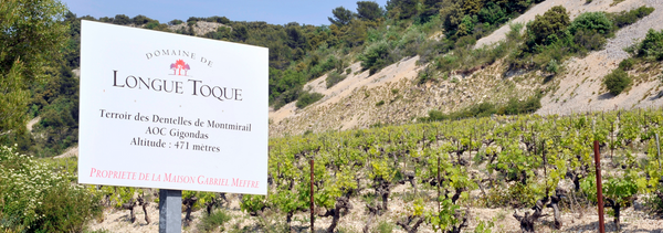 Workshop 'Les Terroirs de Gigondas en 4x4' (in het Frans)-photo