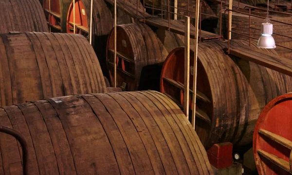 Visit of our cellars & free tasting-photo