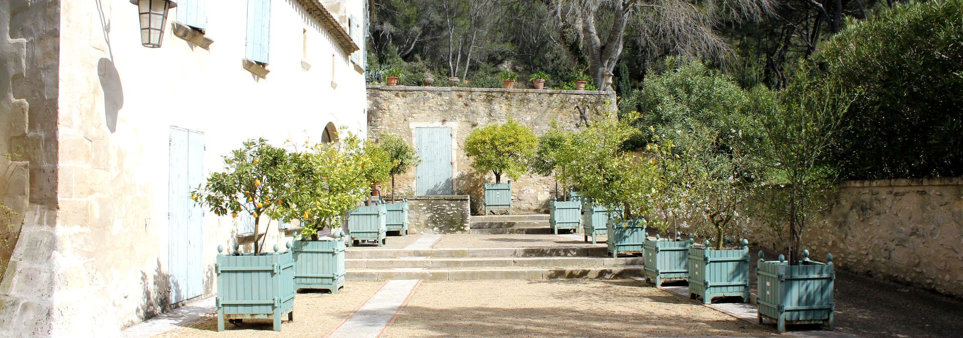 Domaine Dalmeran - Rue des Vignerons