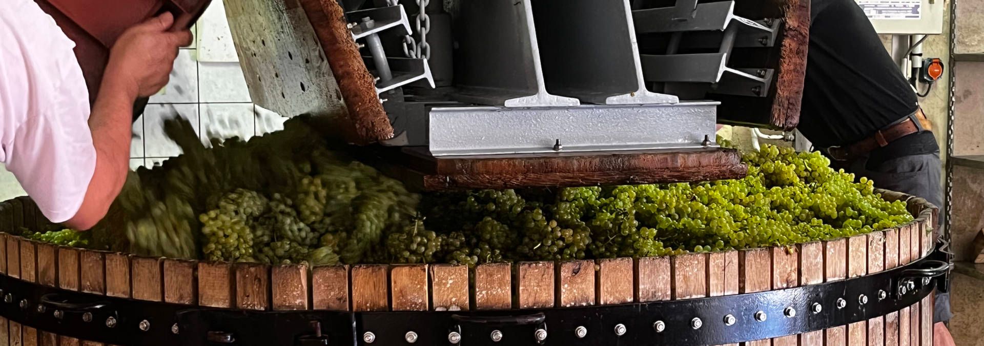 Champagne Boude Baudin - Rue des Vignerons