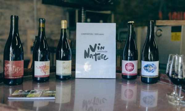 Discovering Bugey's natural wines-photo
