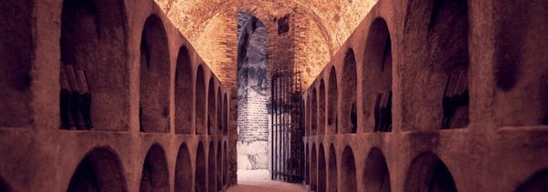 Moët Collection Expérience-photo