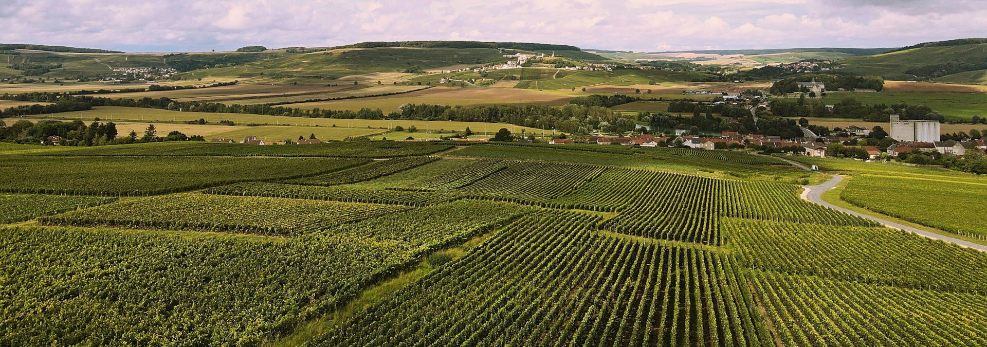 Champagne Cordoin Didierlaurent - Rue des Vignerons