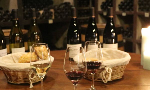 Dégustation Grands Crus dans nos caves historiques-photo