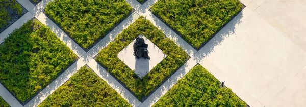 Cultuur en natuur-photo