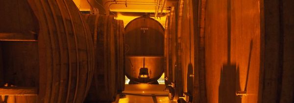 Tour di scoperta-photo