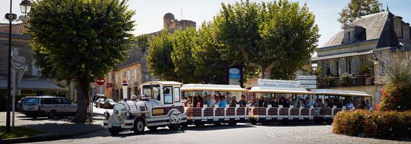 Le train des grands vignobles-photo