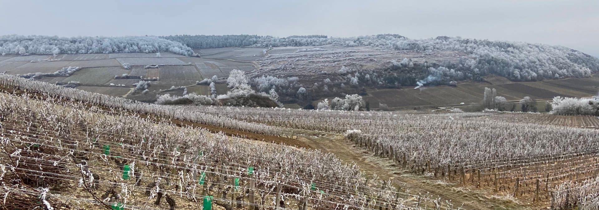 Domaine Barolet Pernot - Rue des vignerons