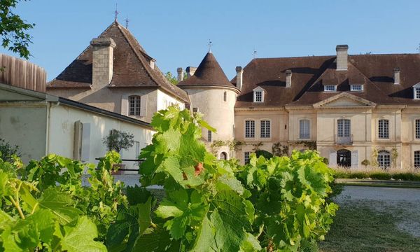 Découverte du vignoble et des chais-photo