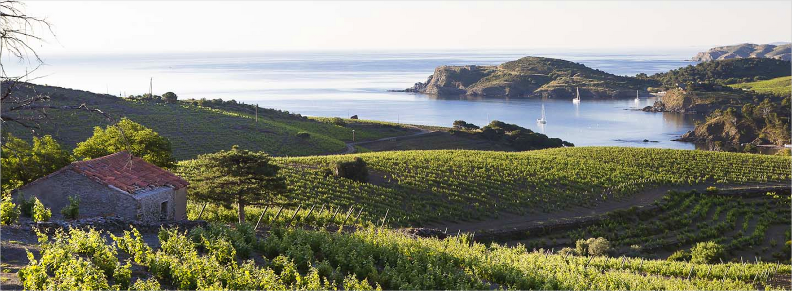 Languedoc-Roussillon