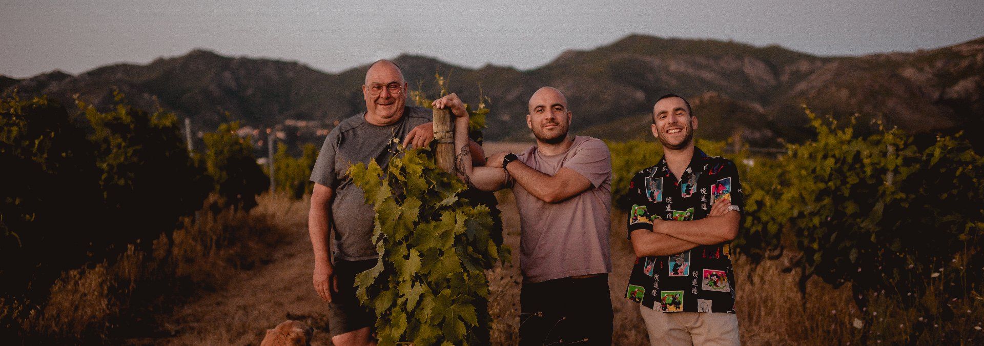 Domaine Santamaria - Rue des Vignerons