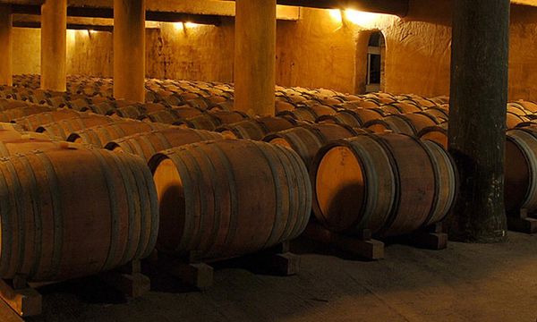 Entre bastidores en Mas de Daumas Gassac-photo