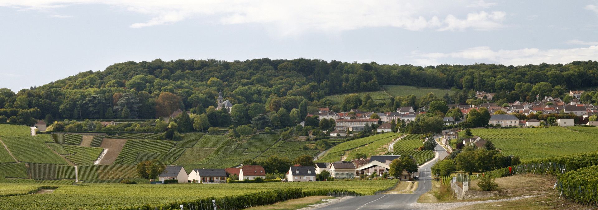 Helene Delhery Champagne - Rue des Vignerons