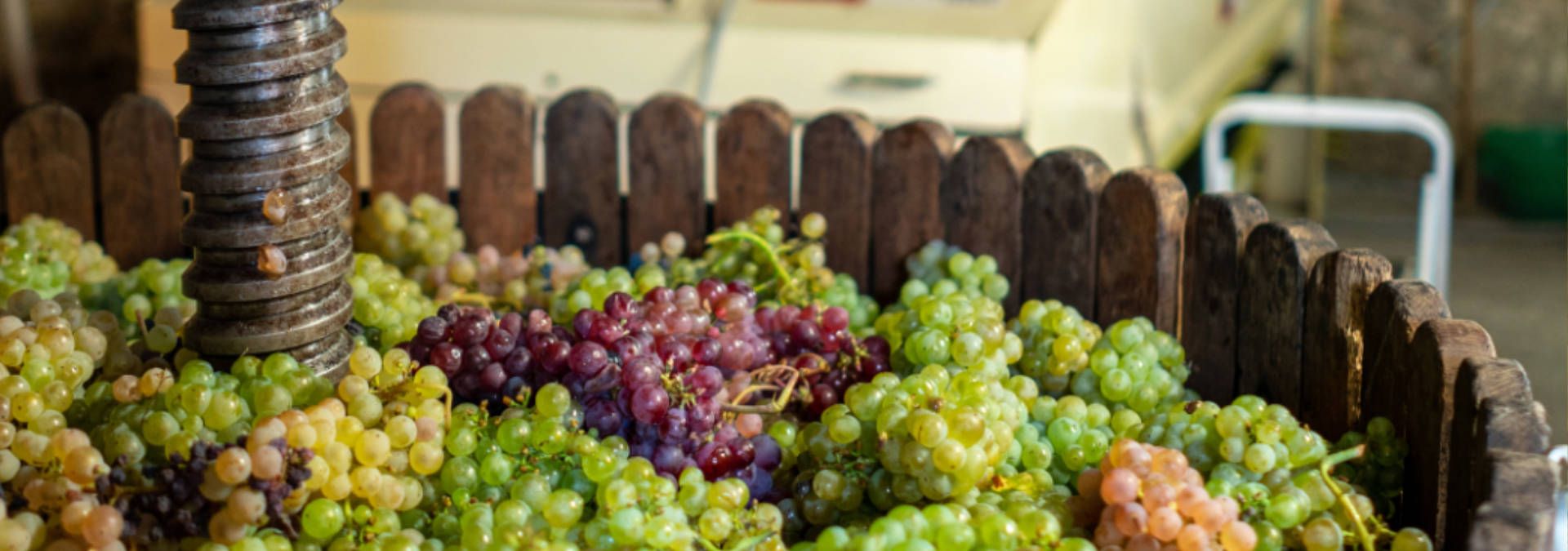 La Cave du Buizin - Rue des Vignerons