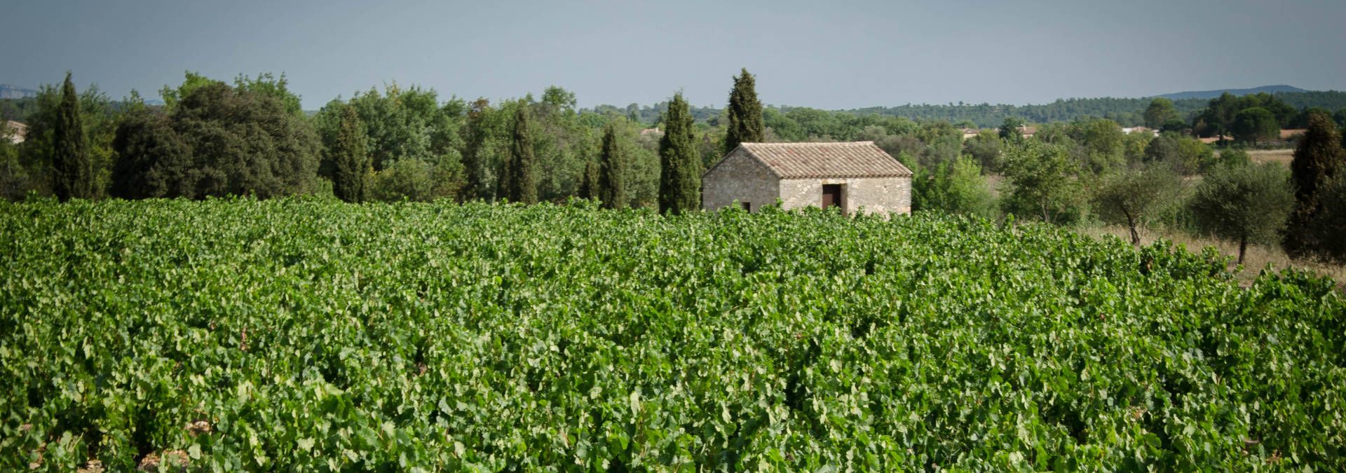 Domaines Massillan - Rue des Vignerons