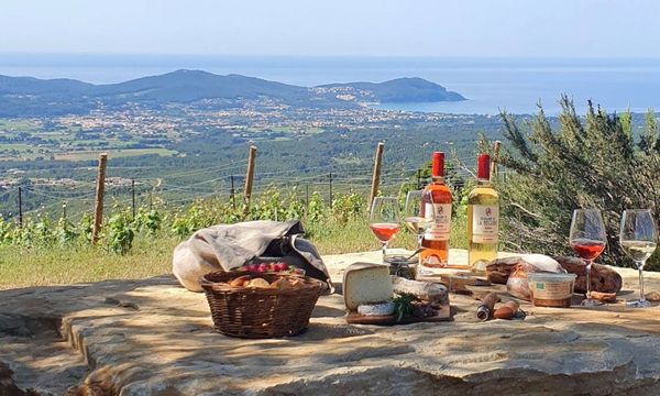 Safari rondleiding-photo