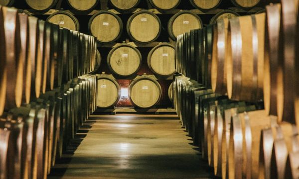 Visita de las diferentes bodegas y degustación-photo