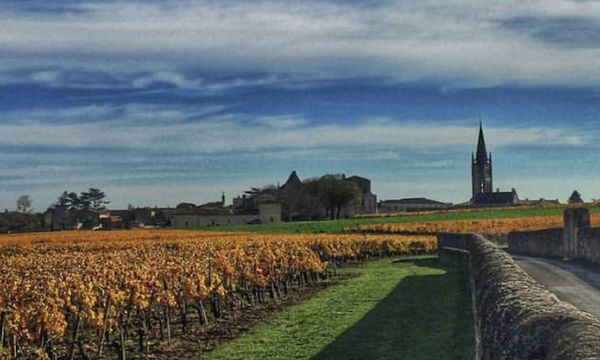 Stroll through the vineyards-photo