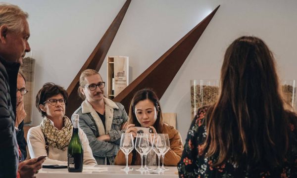 Wine and cheese pairing tour-photo
