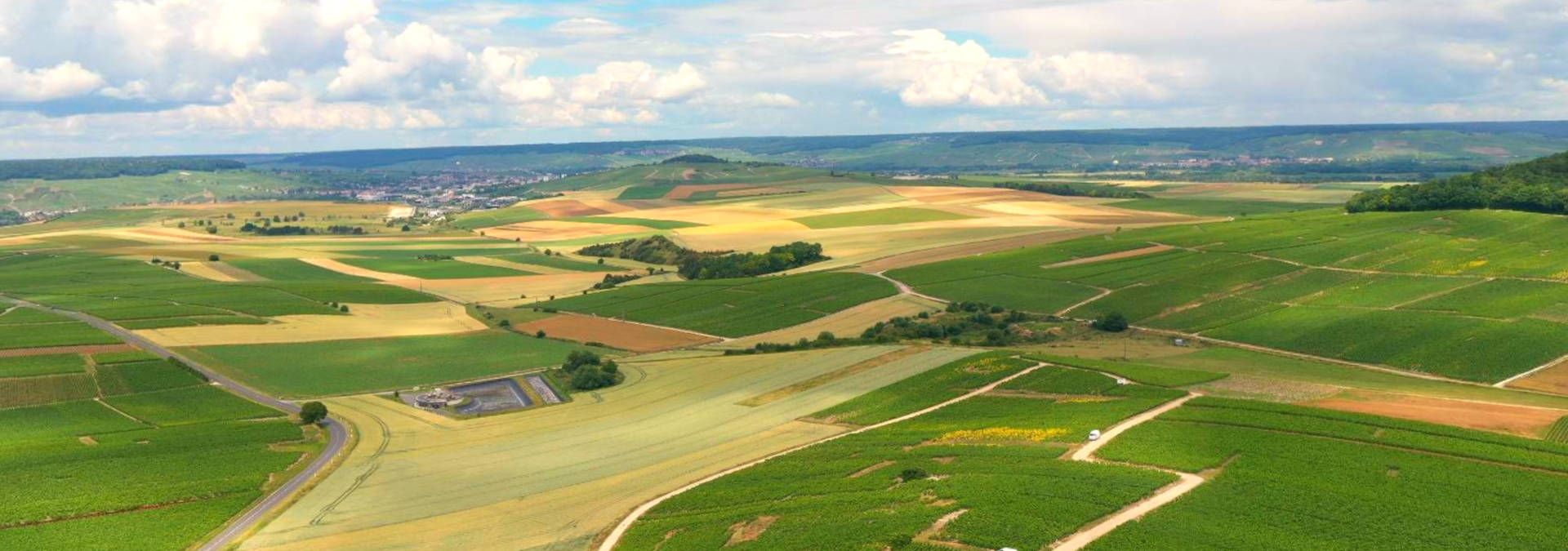 Champagne P. Lancelot-Royer - Rue des Vignerons