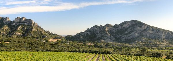 Journée Excursion privée aux Baux-de-Provence-photo