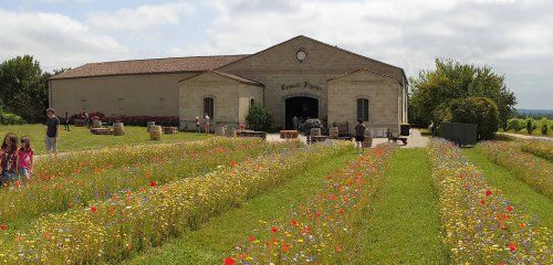 Château Cormeil-Figeac photo