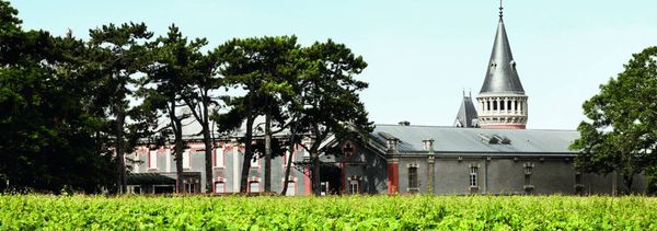 Visite guidée de la Vigne au Verre-photo