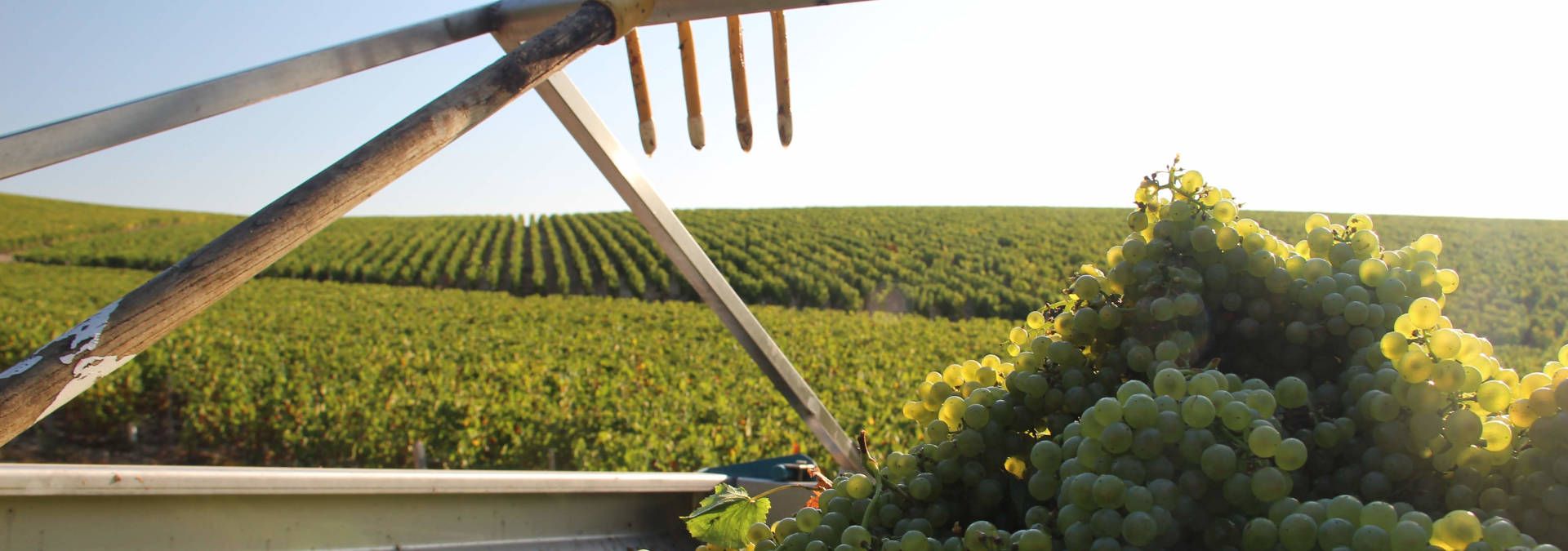 Domaine Jean Collet et Fils - Rue des Vignerons