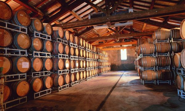 Nel cuore della Linguadoca (gruppi)-photo