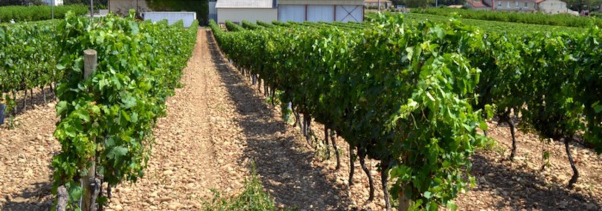 Domaine Betton - Rue des Vignerons