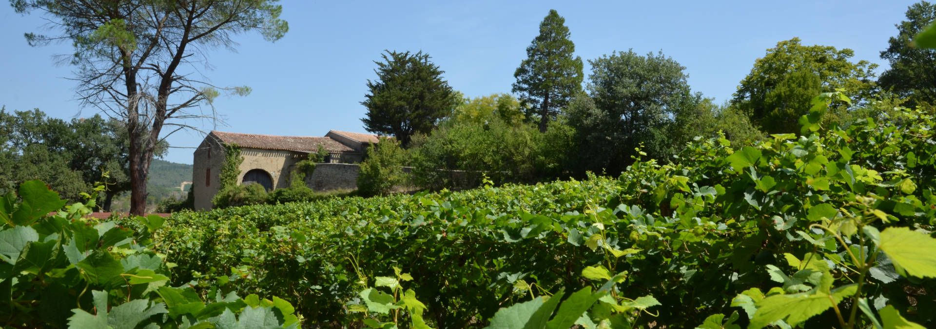 Domaine du Grès Vaillant - Rue des Vignerons