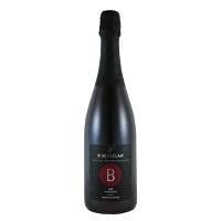 Château de l'Eclair B de l'Eclair - vin rouge pétillant Rouge