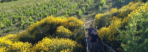 Visite et Dégustation-photo