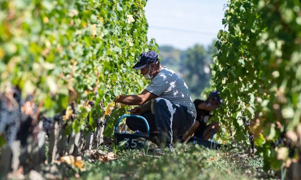 Entdeckung eines Familienbesitzes mit biologischem Anbau-photo