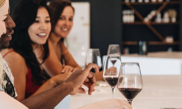 Wine and cheese tasting masterclass-photo